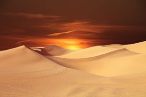 Picture of a beautiful desert